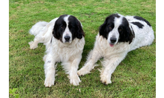 Mariechen und Zarina