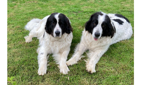 Mariechen und Zarina